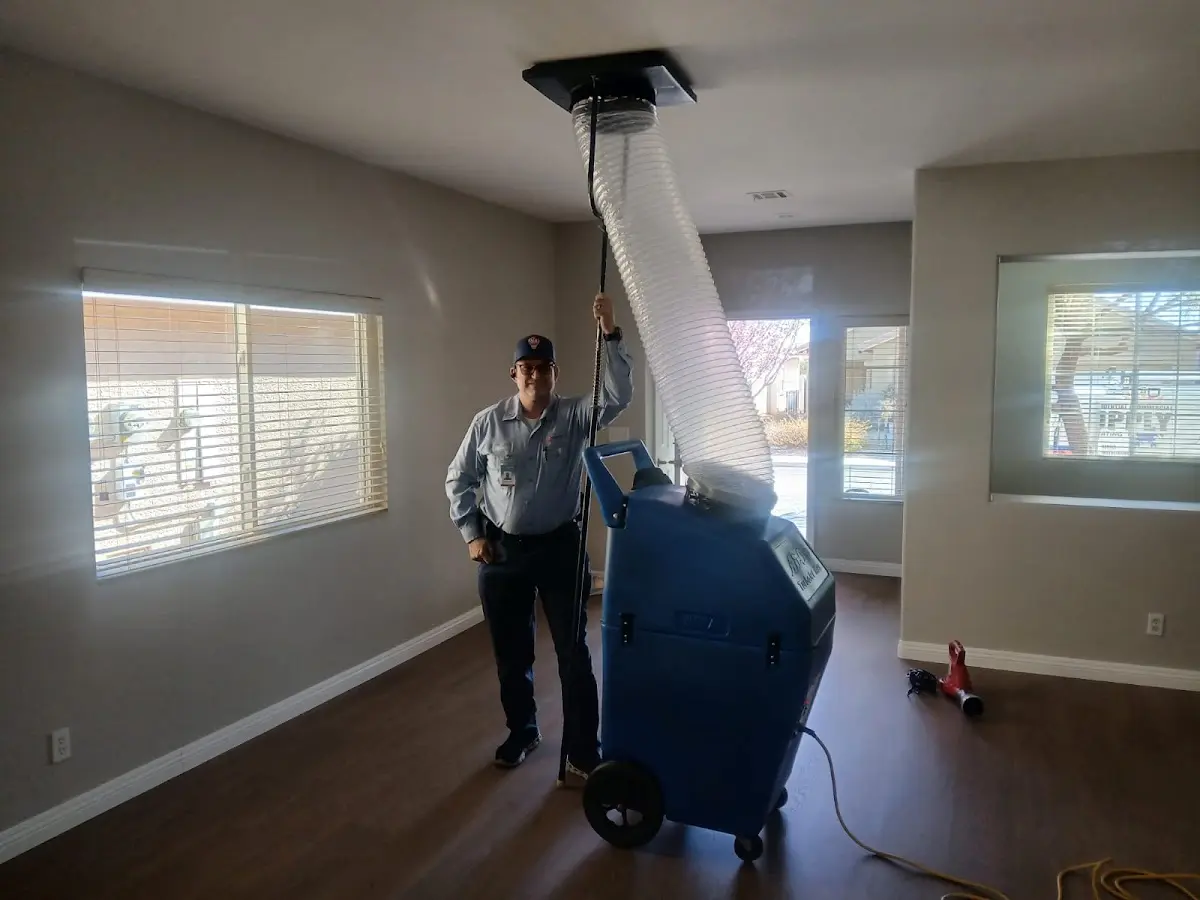 Professional Emergency HVAC Repair work inside a Westfield home